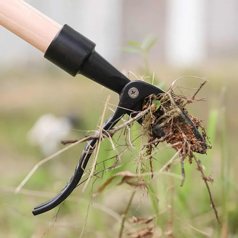 GreenForce™: Jardines Libres de Maleza, Cuidado Natural